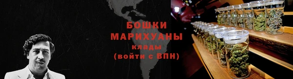 шишки Алзамай