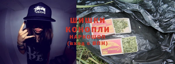 шишки Алзамай